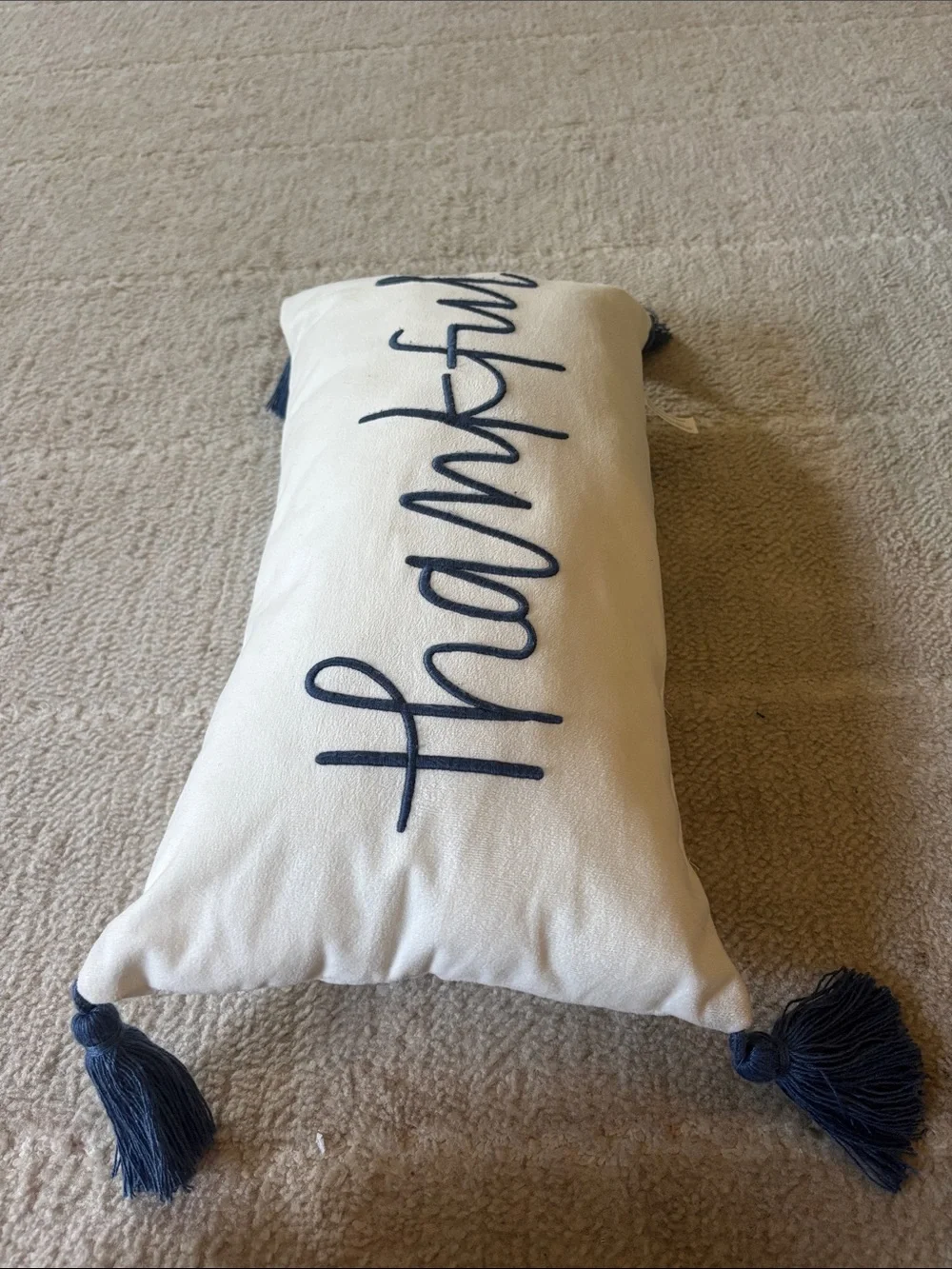 Thankful Decorative Accent Pillow - Navy on Cream